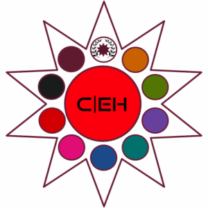 CEH - Certified Ethical Hacker v 13