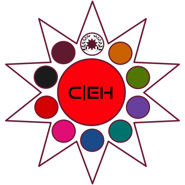 CEH - Certified Ethical Hacker v 13