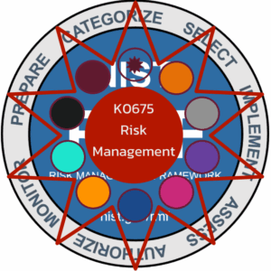 K0675 Risk management processes