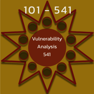 Vulnerability Analysis 101 (541)