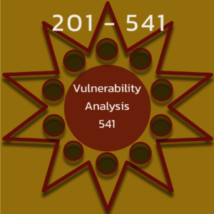 Vulnerability Analysis 201 (541)