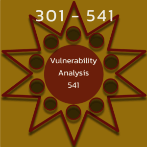 Vulnerability Analysis 301 (541)